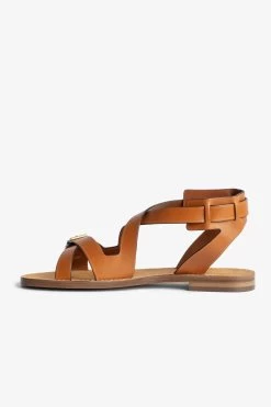 Front Page -Modern Fashion Shop swct00770 tawny 3